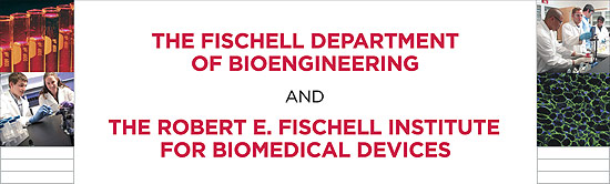 The Fischell Department of Bioengineering