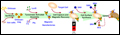 Nanofactory Scheme