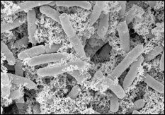 Figure 1: Nanofactories (click for caption)